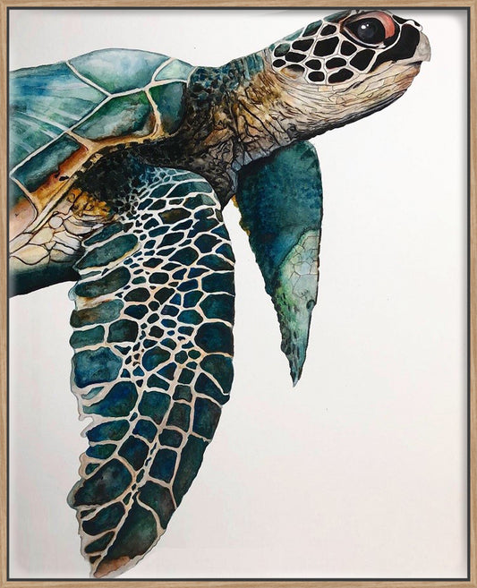 Great Sea Turtle Canvas