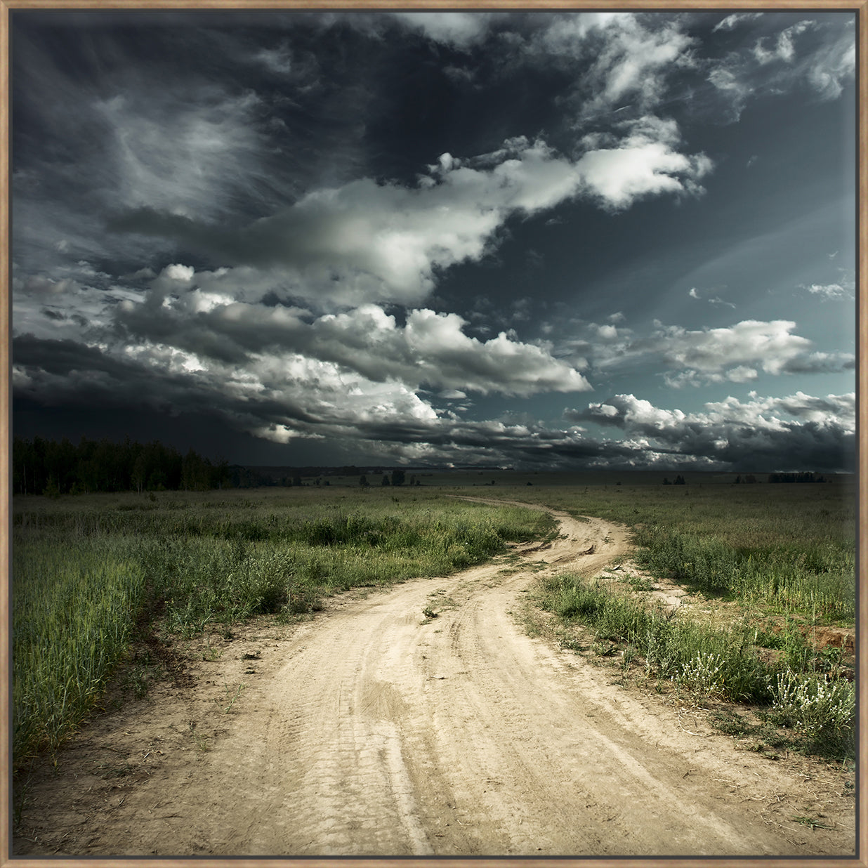 Road In Field - Canvas