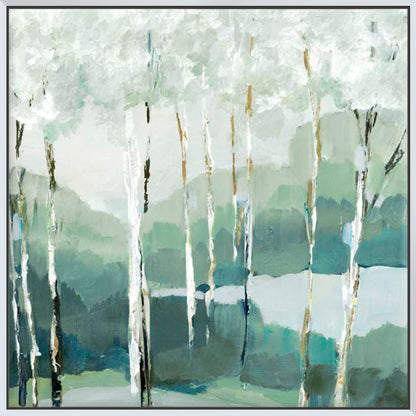 Quiet Birch Forest II