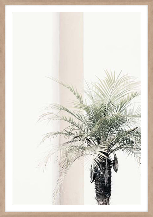 Studio III – Palm Tree - In Stock
