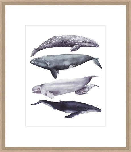 Whale Stack I