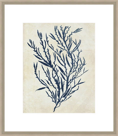 Indigo Blue Seaweed 3b