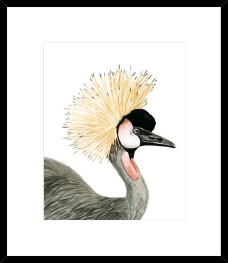 Watercolour Crested Crane