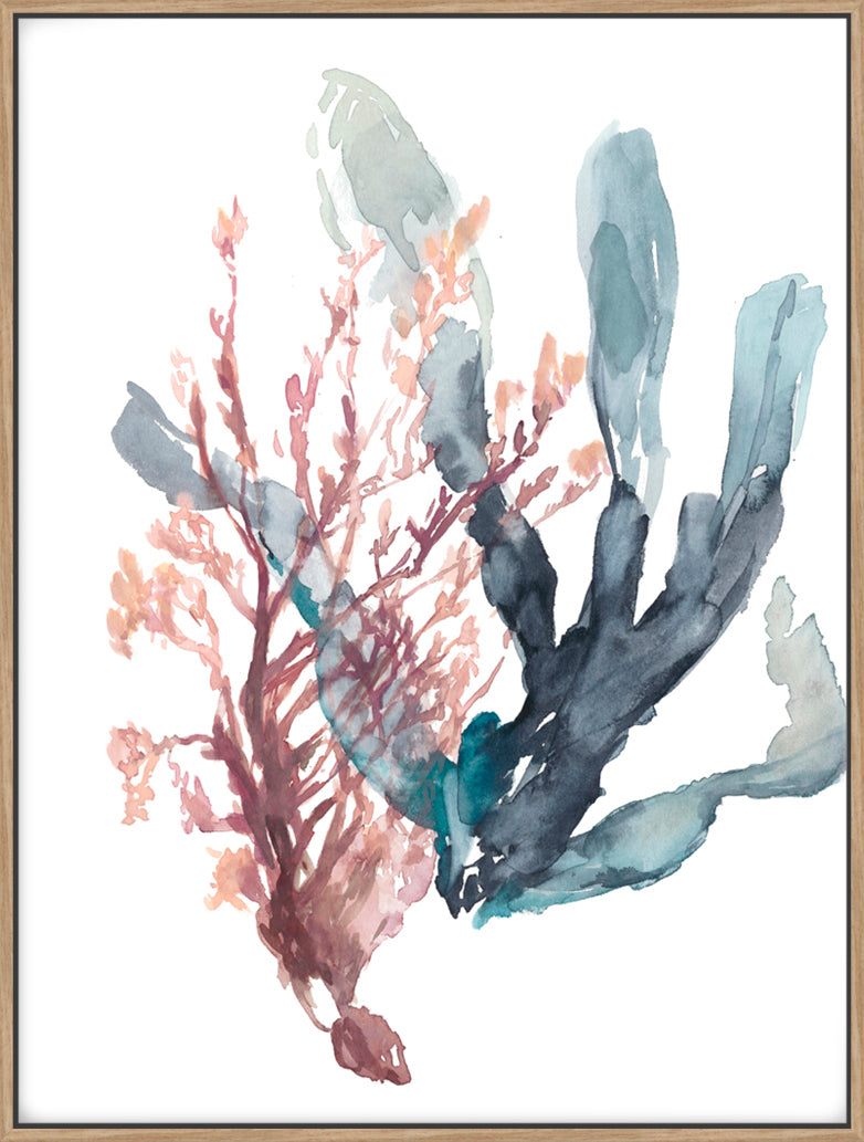 Sweet Seaweed I - Canvas