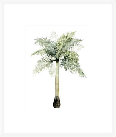 Watercolor Palm Of The Tropics I