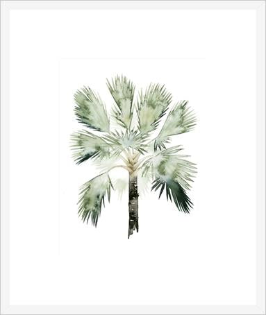 Watercolor Palm Of The Tropics Ii