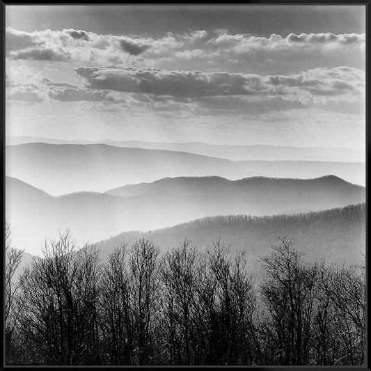 Misty Mountains 103X103Cm / Black