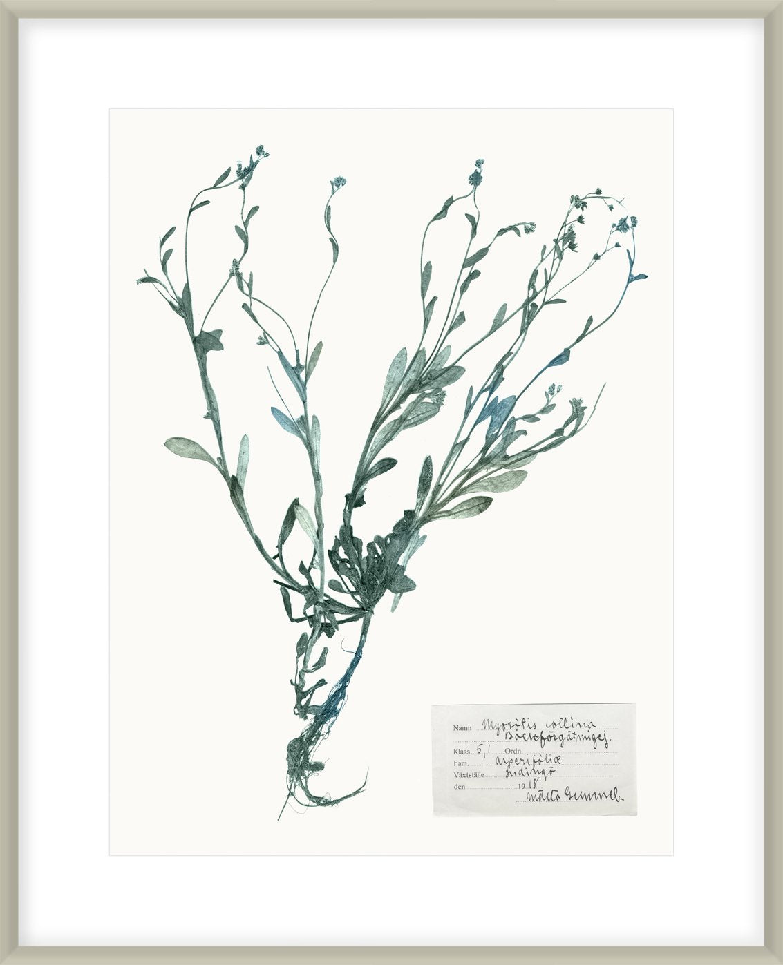 Pressed Flowers In Spa Ii 64X54Cm / Boxed Champagne Silver