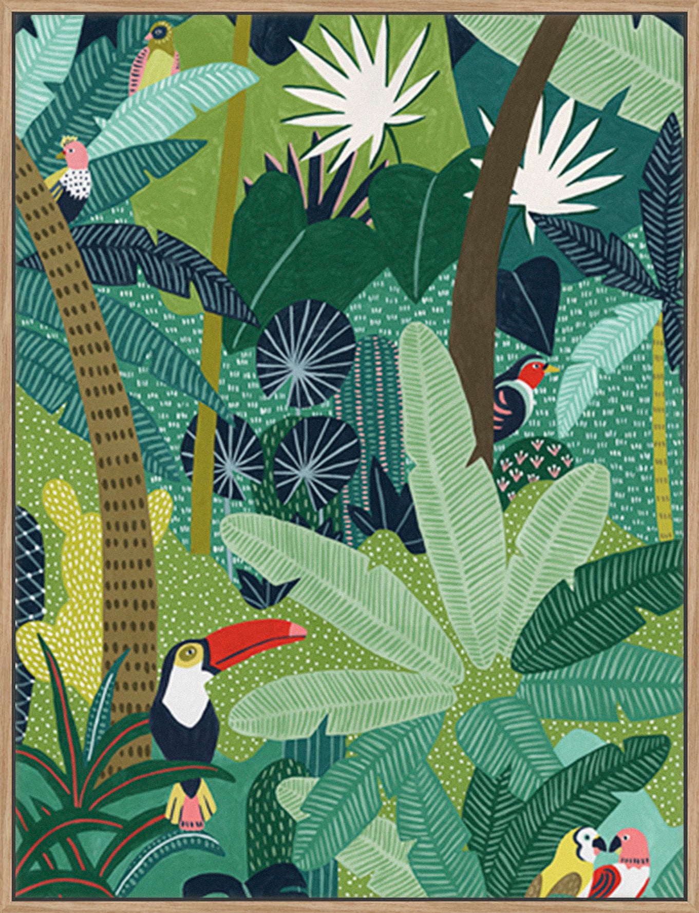 Tropical Aves