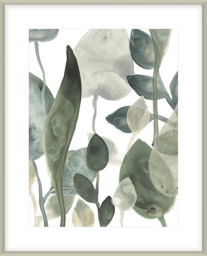 Water Leaves Iii 64X54Cm / Boxed Champagne Silver