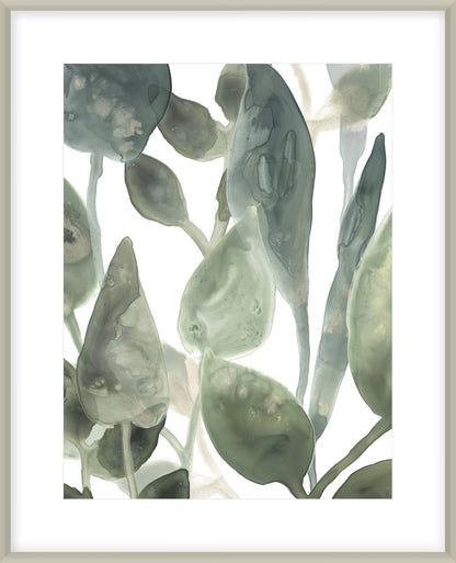 Water Leaves Iv 64X54Cm / Boxed Champagne Silver