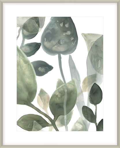 Water Leaves I 64X54Cm / Boxed Champagne Silver