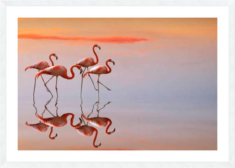 Cseresnjes – Untitled_B-18-WHT-WL-5