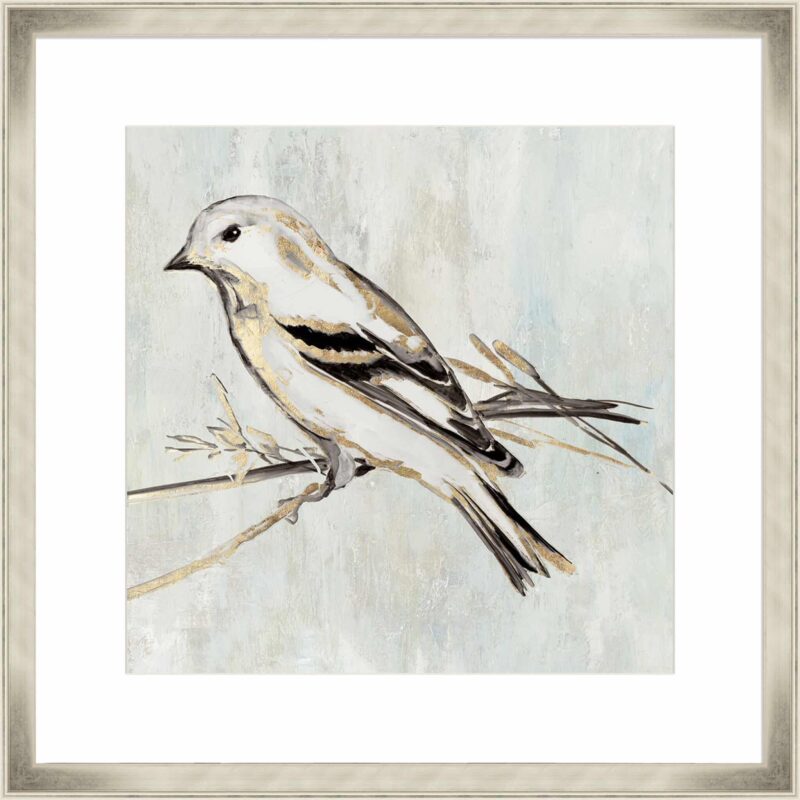 Feathered Melody III_C-2-CHPG-CH-10