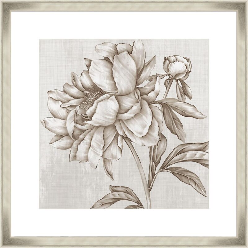 Glorious Peony II_C-2-CHPG-CH-10