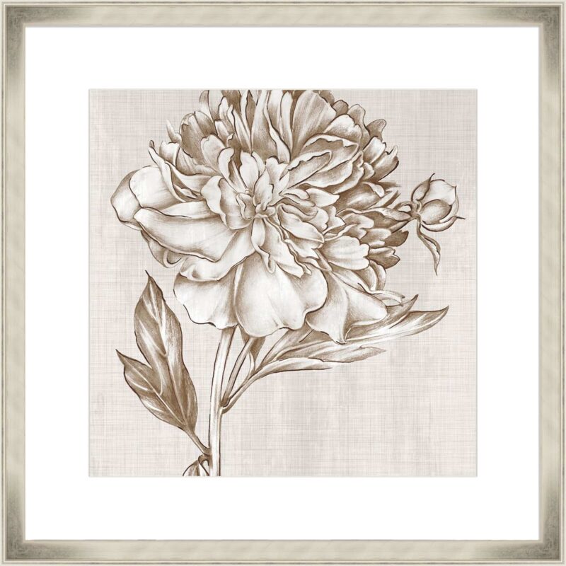 Glorious Peony I_C-2-CHPG-CH-10