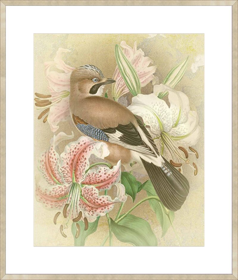 Pretty Boy_B-21-CHPG-DP-10