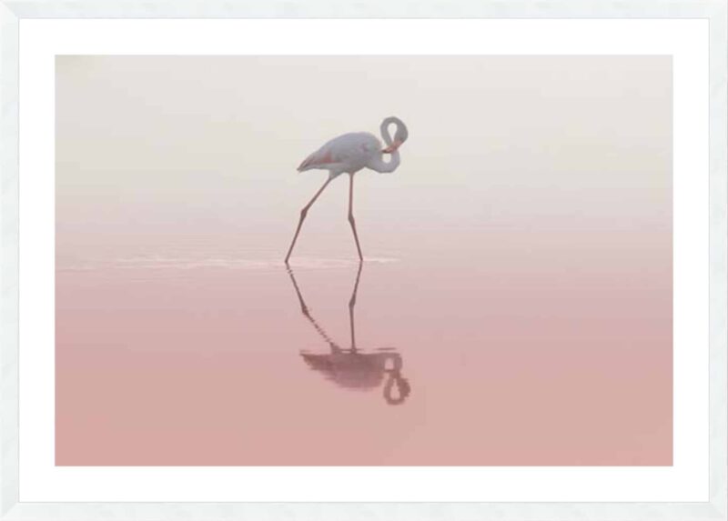 Rublina – 8…_B-18-WHT-WL-5