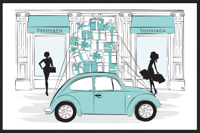 Shoping Car_G-1-BLK-STB