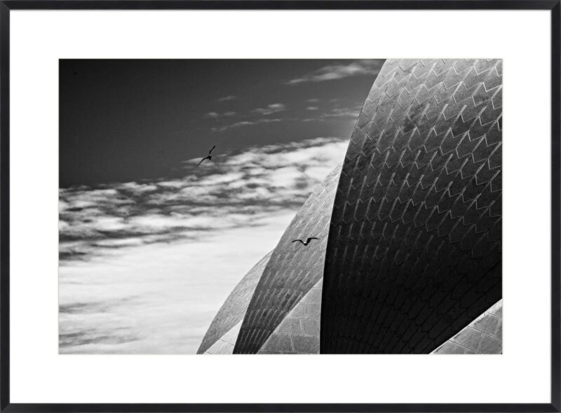 Sydney Australia II_B-1-BLK-BB-10