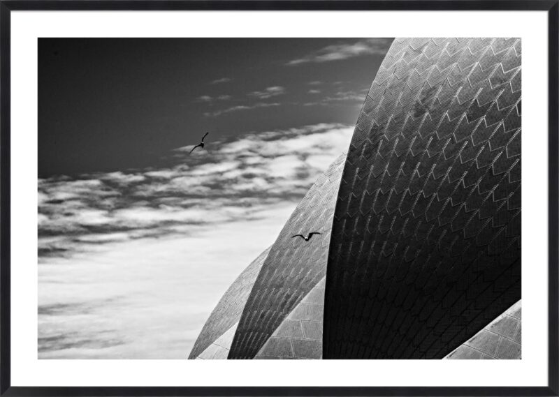 Sydney Australia II_B-1-BLK-BB-5