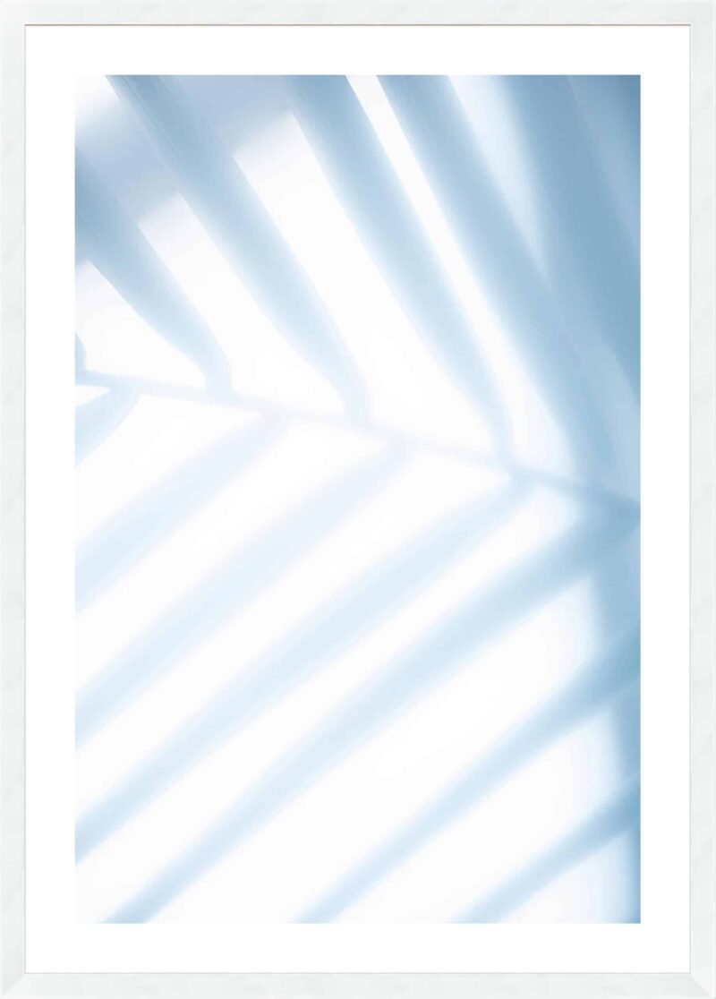 Tropical Palms No. 1_B-18-WHT-WL-5