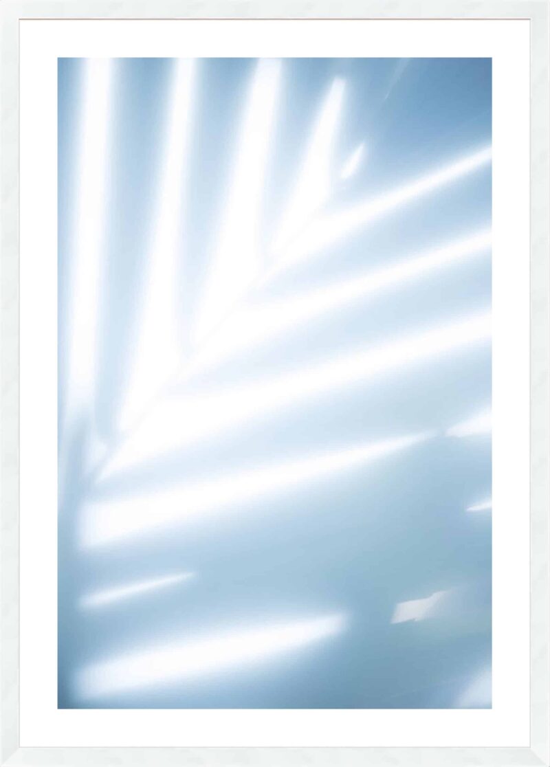 Tropical Palms No. 2_B-18-WHT-WL-5