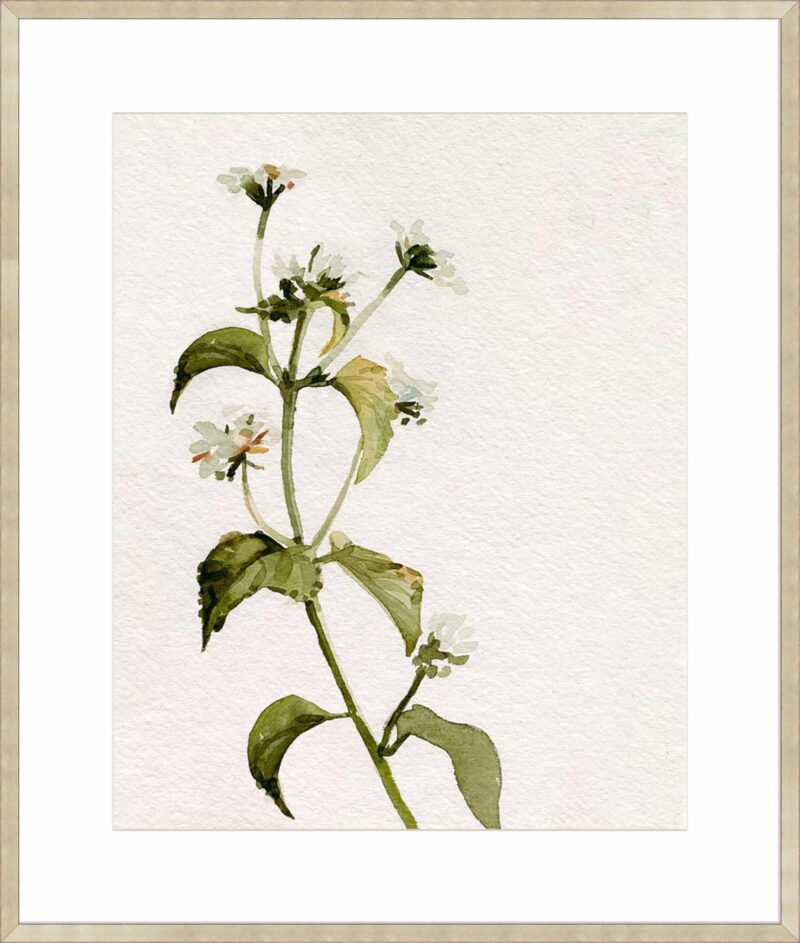 White Antique Wildflower I_B-21-CHPG-DP-10