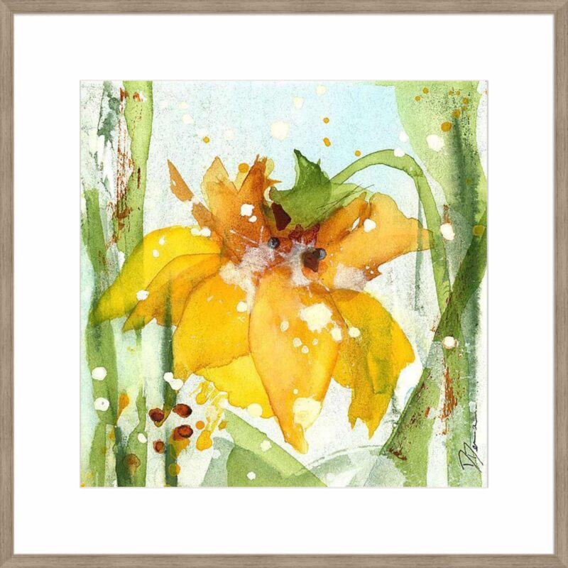 Daffodil_B-13-CASH-S-ST-10