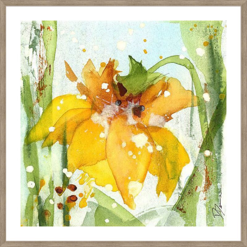 Daffodil_B-13-CASH-S-ST-5