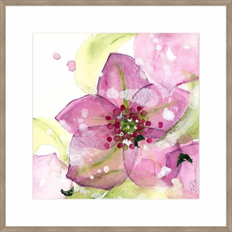 Pink Flower in the Snow_B-13-CASH-S-ST-10