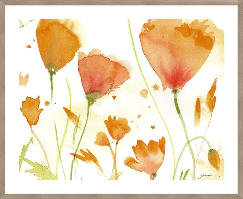 Poppy Moment_B-13-CASH-S-ST-5