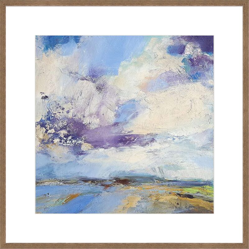 Brisk_B-26-COY-S-APY-10