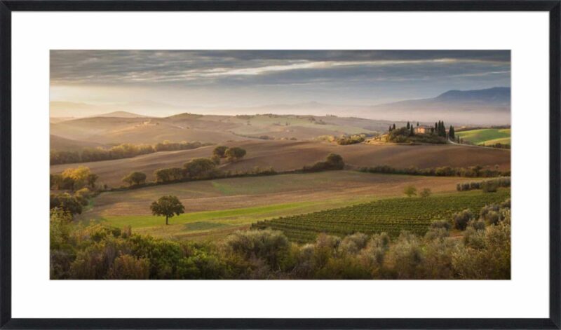 Svoboda – Fairyland at Dawn_B-16-BLK-MB-10
