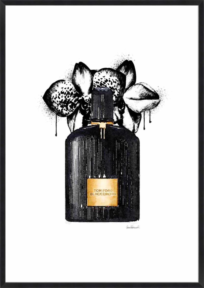 Noir Perfume Orchid_B-1-BLK-BB-5