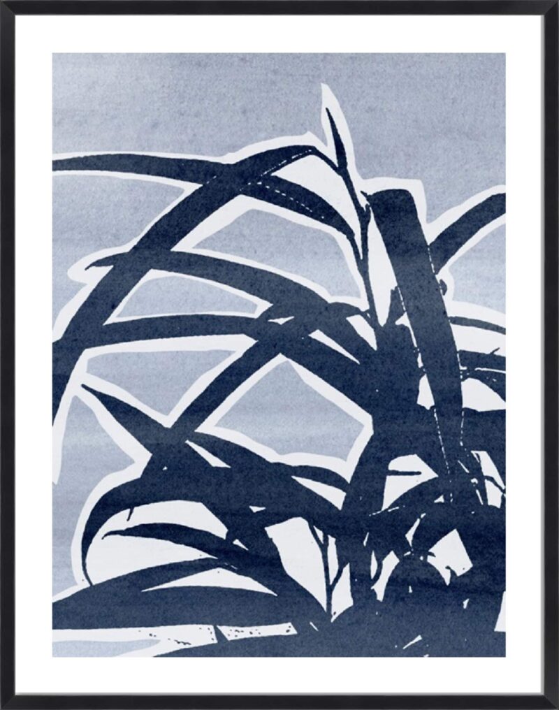 Plant Life II_B-1-BLK-BB-5