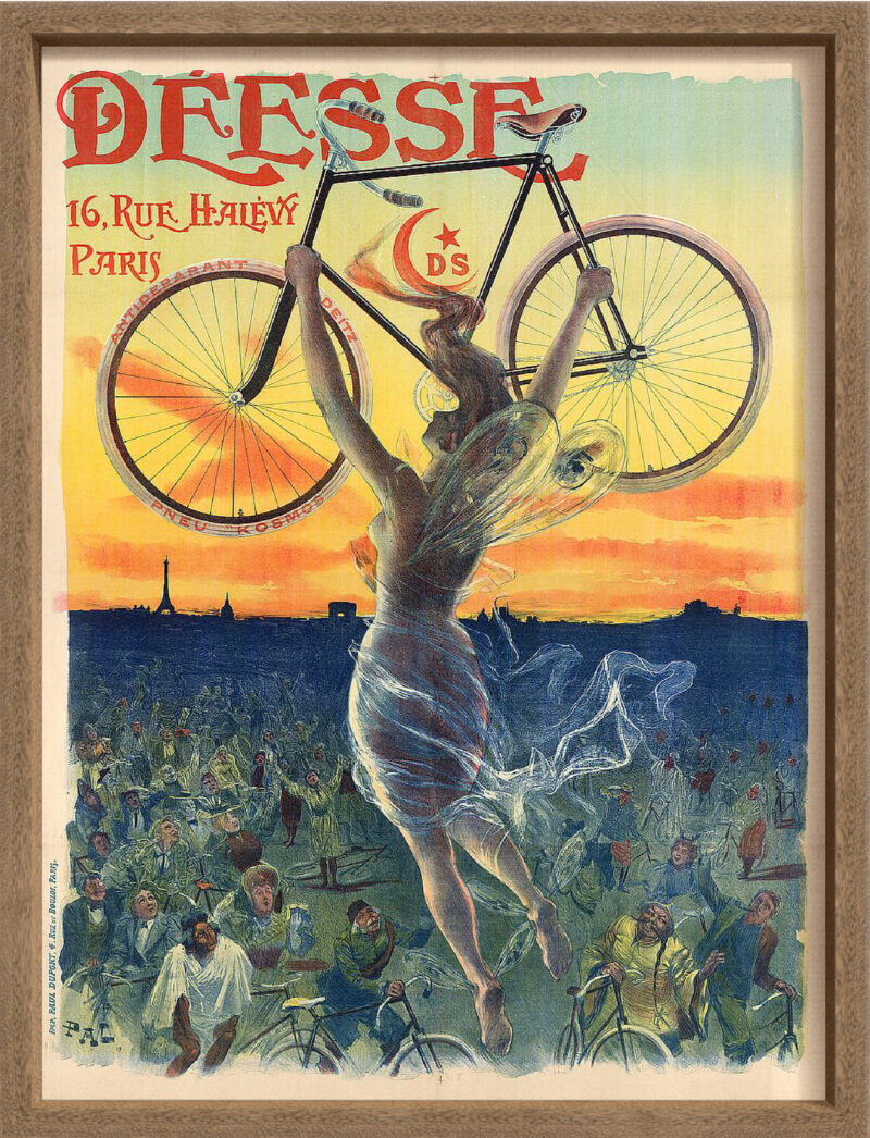 Da'esse Cycles - Canvas on Board Coyote Oak Shelf