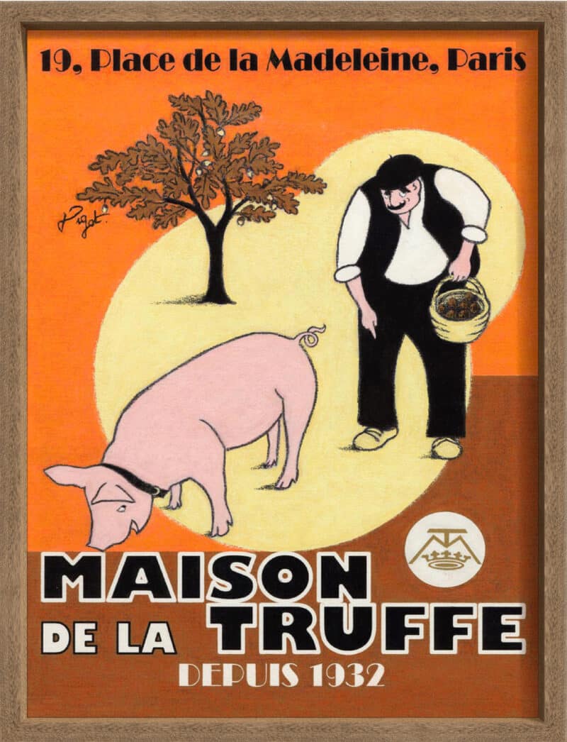 Le Bon Choix - Canvas on Board Coyote Oak Shelf