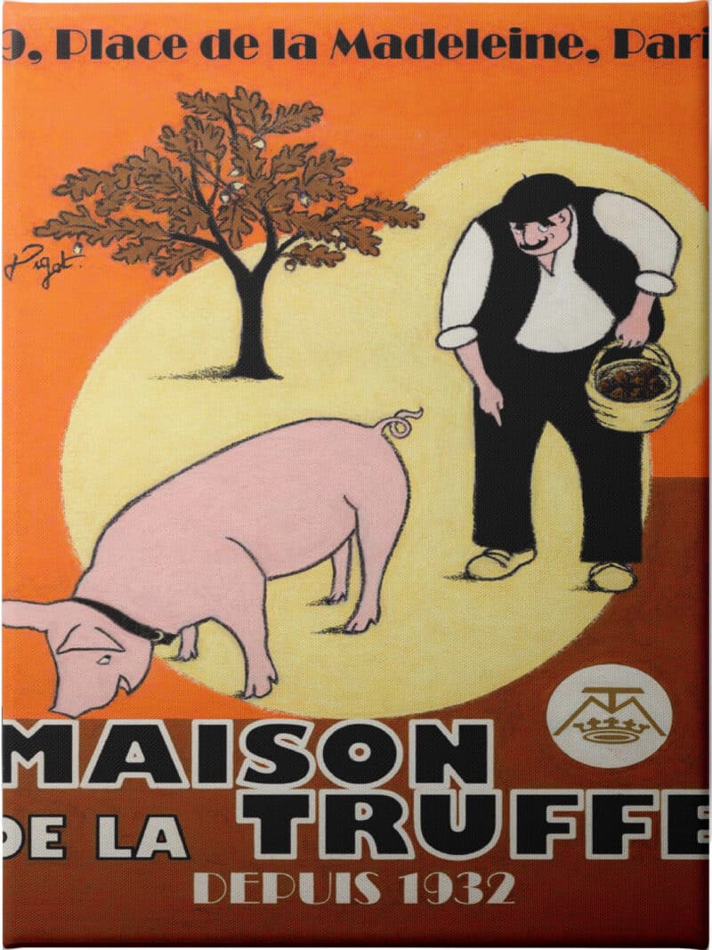 Le Bon Choix - Unframed Canvas Unframed Canvas