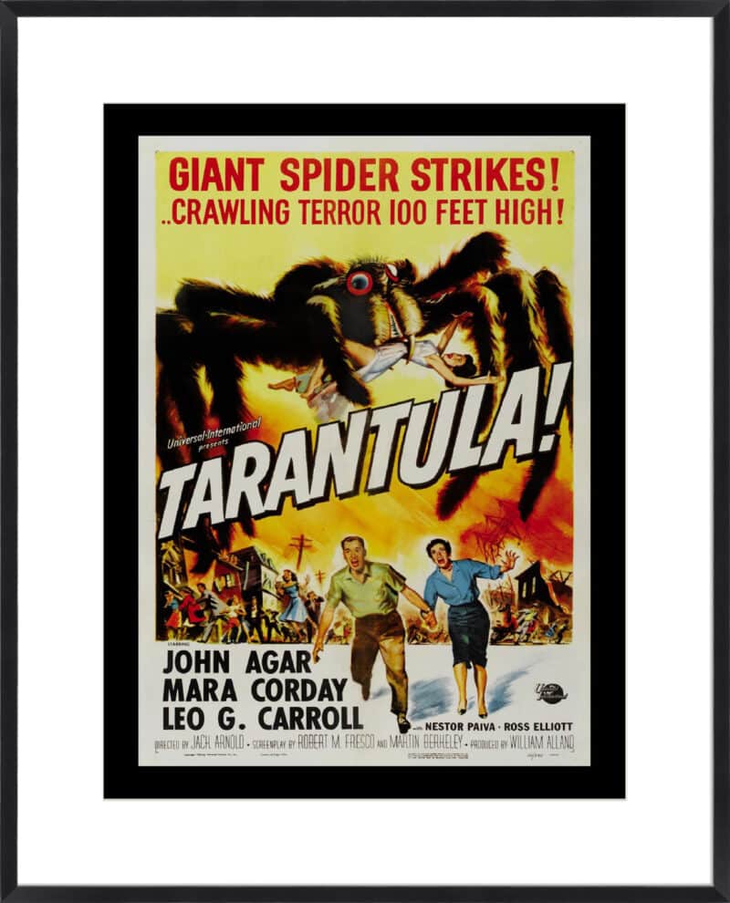 Tarantula - 10cm Mount Board Box Black