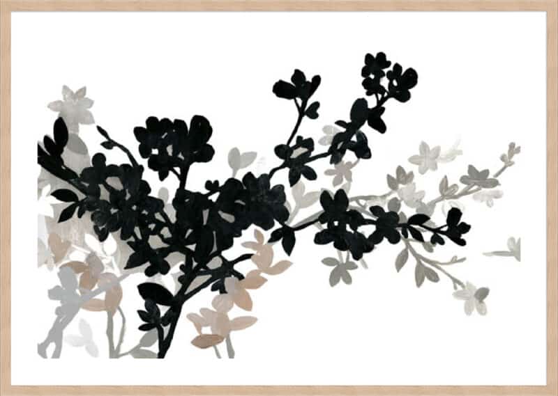 Apple Bloom I - 5cm White Border Box Natural