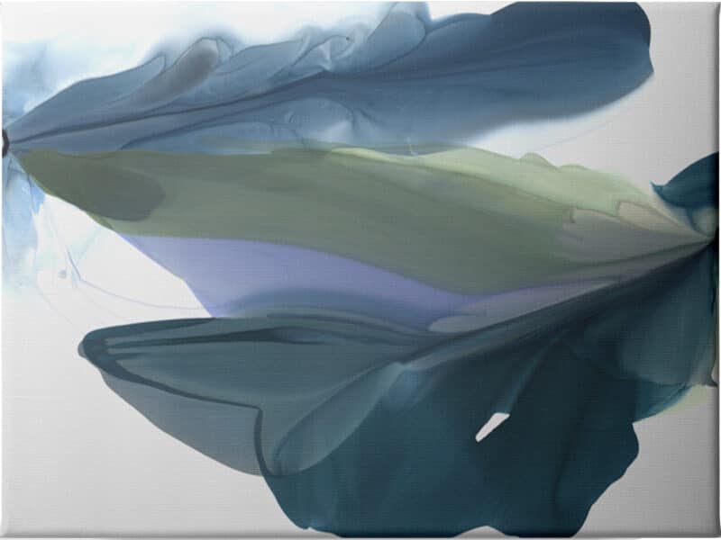 Blue Feathers I - Unframed Canvas Unframed Canvas