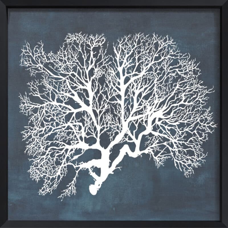 Inverse Sea Fan III - Canvas on Board Black Shelf