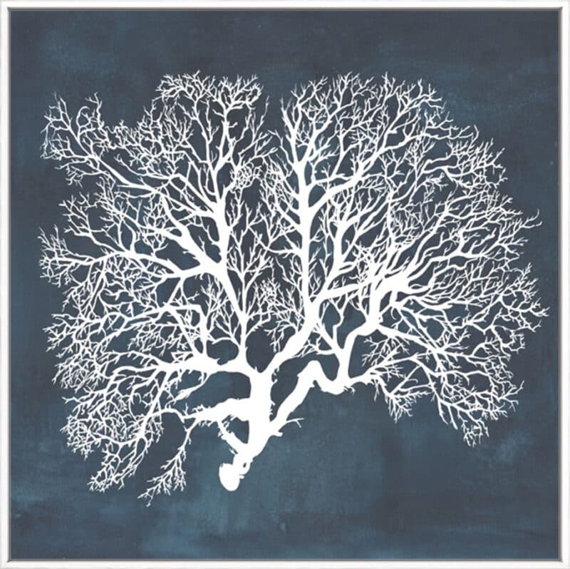 Inverse Sea Fan III - Canvas Gallery White