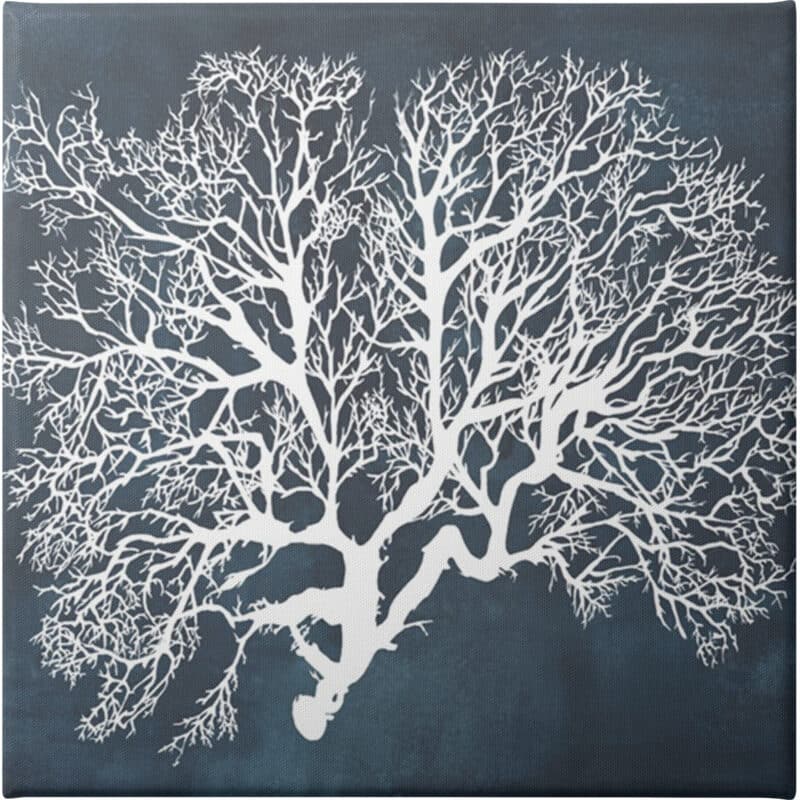 Inverse Sea Fan III - Unframed Canvas Unframed Canvas