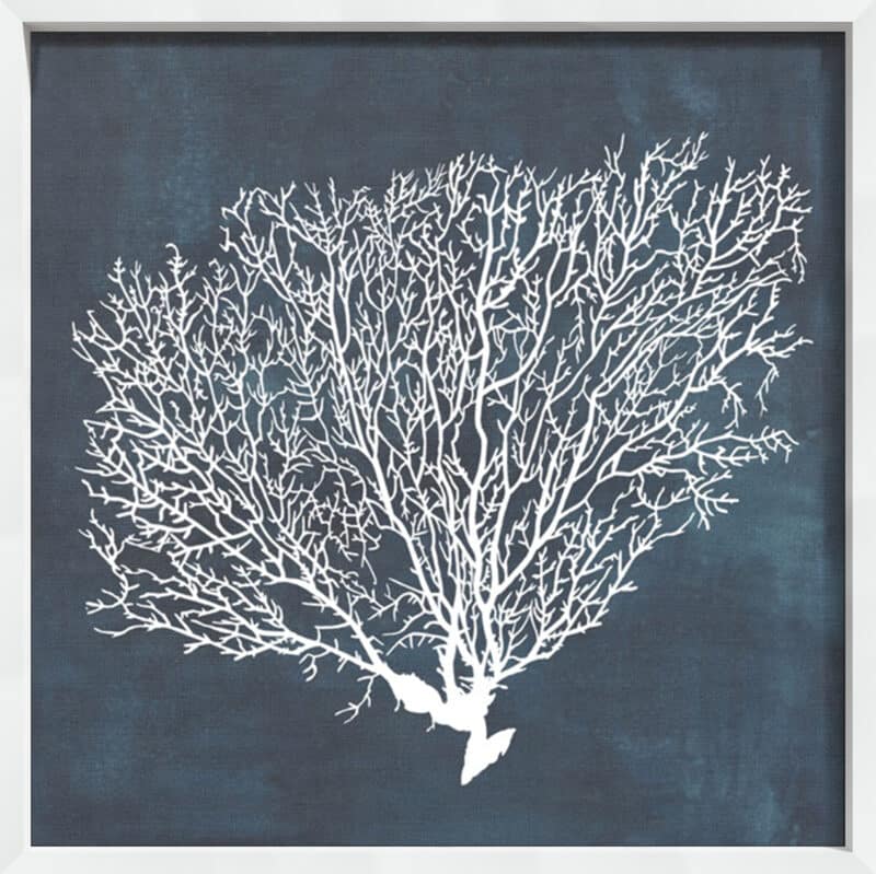 Inverse Sea Fan II - Canvas on Board White Shelf