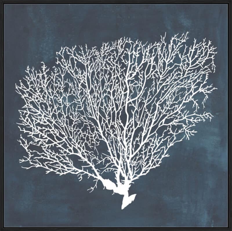 Inverse Sea Fan II - Canvas Gallery Black