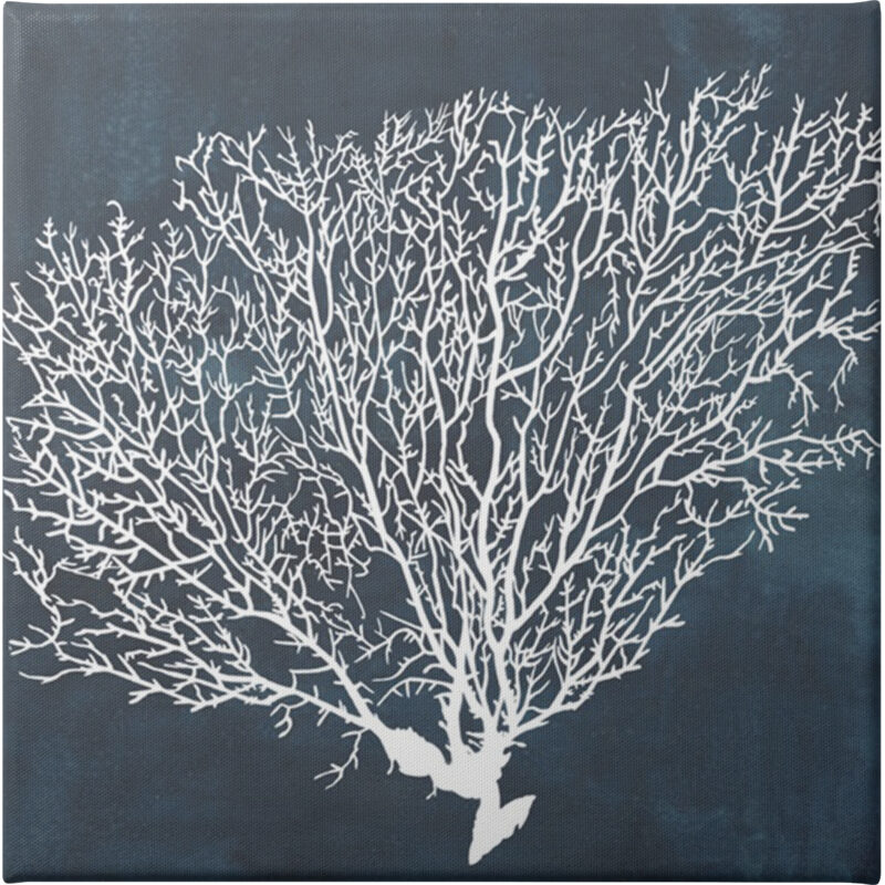 Inverse Sea Fan II - Unframed Canvas Unframed Canvas