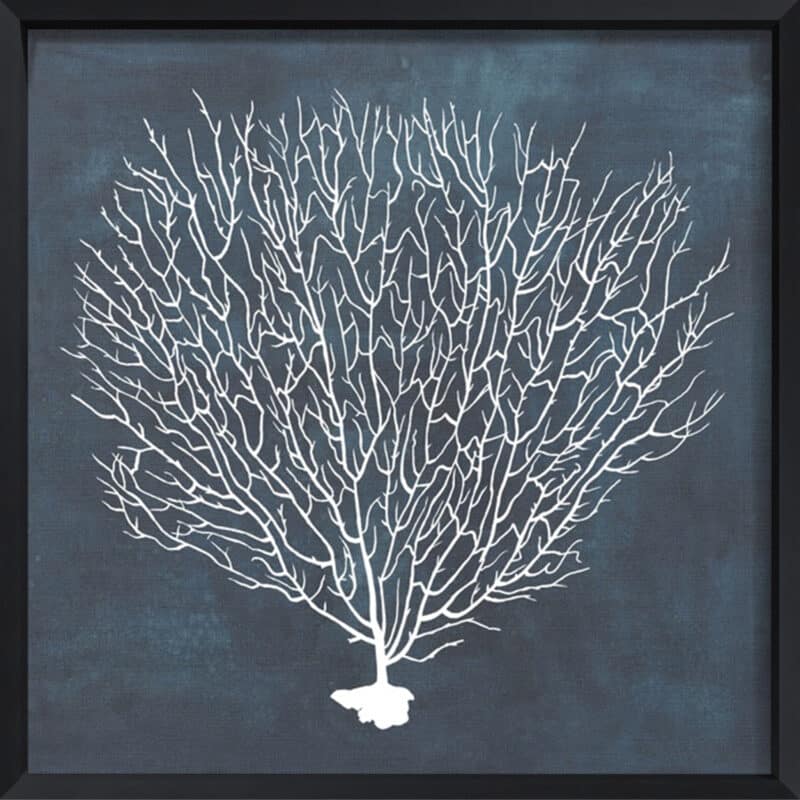 Inverse Sea Fan IV - Canvas on Board Black Shelf