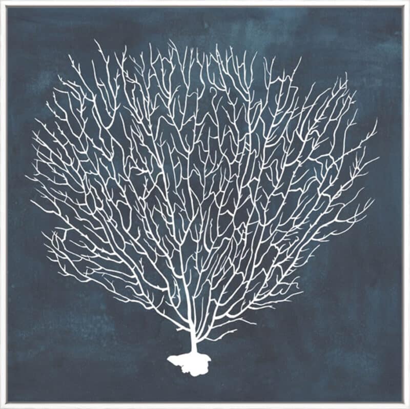 Inverse Sea Fan IV - Canvas Gallery White
